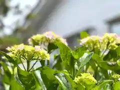 良性院(長野県)