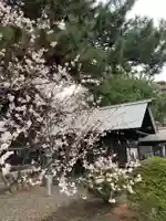 札幌護國神社の自然