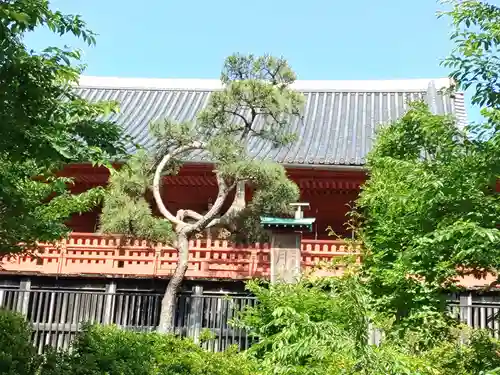 清水観音堂の庭園