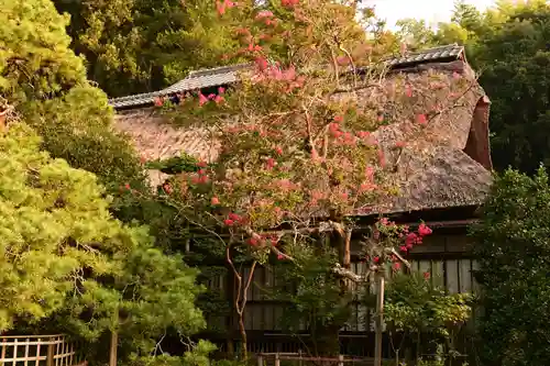 常楽寺(長野県)