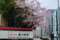 豊川稲荷東京別院の{uncategorized: "未分類", other: "その他", undefined: "問題あり", building: "その他建物", grave: "お墓", sacred_gate: "鳥居", guardian: "狛犬", statue: "像", buddha: "仏像", history: "歴史", nature: "自然", garden: "庭園", animal: "動物", pagoda: "塔", temizu: "手水舎", mountain_gate: "山門・神門", sanctuary: "本殿・本堂", subordinate: "末社・摂社", art: "芸術", scenery: "景色", jizo: "地蔵", ema: "絵馬", goshuin: "御朱印", omikuji: "おみくじ", items: "授与品その他", amulet: "お守り", goshuincho: "御朱印帳", eats: "食事", festival: "お祭り", votive_dance: "神楽", shichigosan: "七五三参", wedding: "結婚式", experience: "体験その他", initially: "初詣", around: "周辺", anti_infection: "感染症対策"}