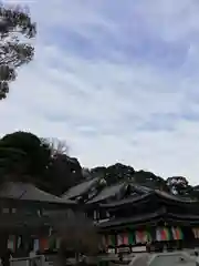 長谷寺の建物その他