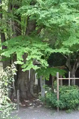 梨木神社(京都府)
