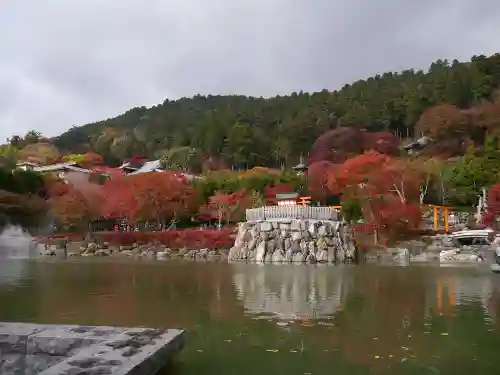 勝尾寺の庭園