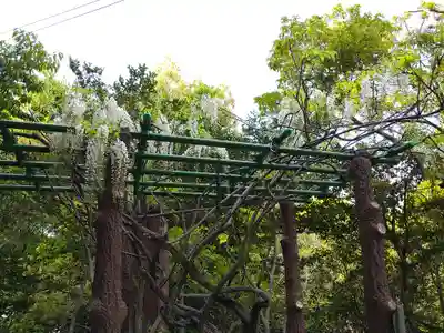 阿智神社(岡山県)