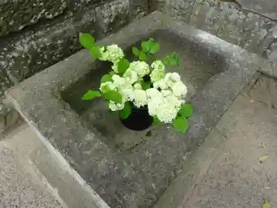 熊野福藏神社の手水舎