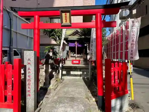 五の日稲荷大明神(神奈川県)