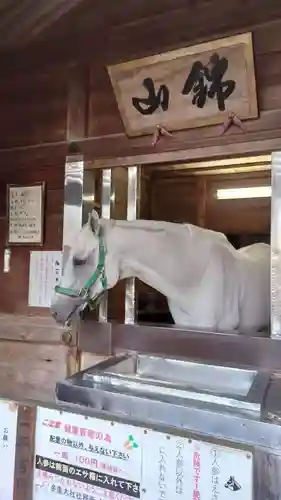 多度大社(三重県)