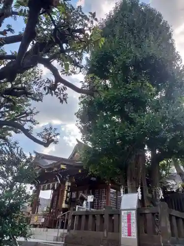 大鳥神社(東京都)