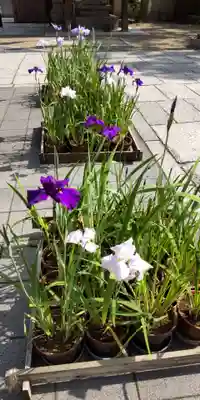 難波神社(大阪府)