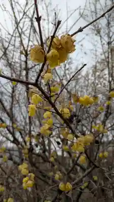 蓮花寺(大阪府)