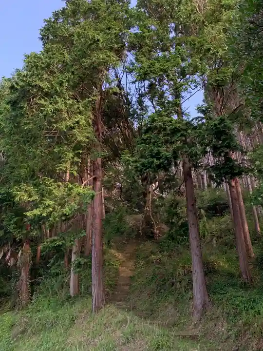 神社(名称不明)の景色
