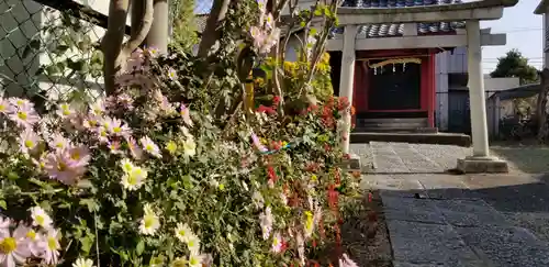 稲荷神社の鳥居