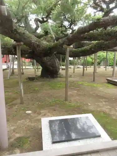 善養寺(東京都)