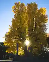 鑁阿寺(栃木県)