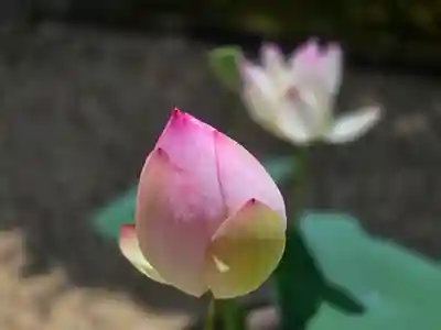 歓喜院(兵庫県)