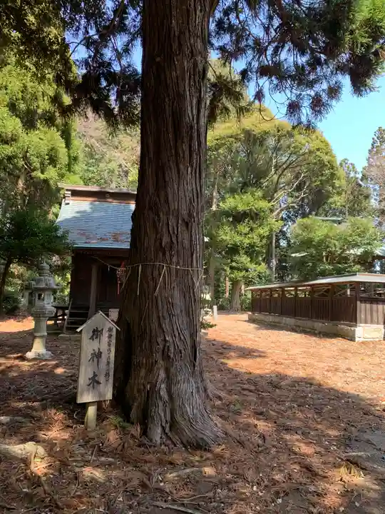 瀧神社(茨城県)