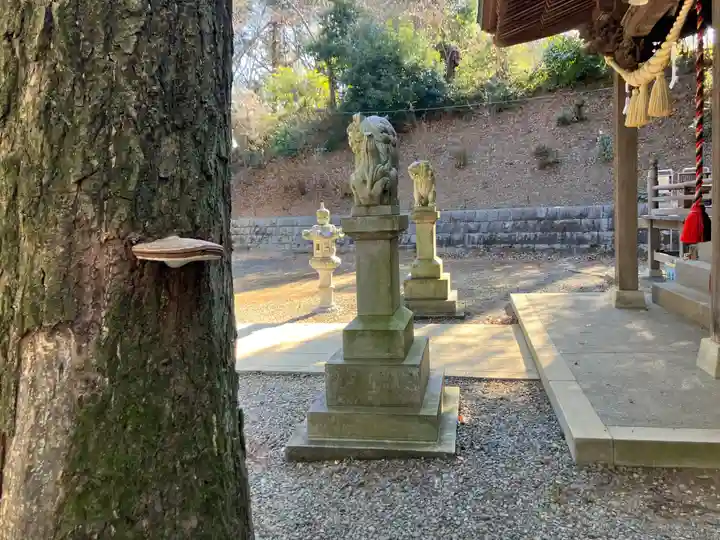 住吉神社(東京都)
