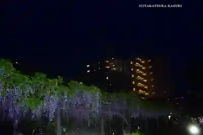 亀戸天神社(東京都)