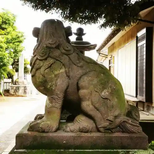 白髭神社の狛犬