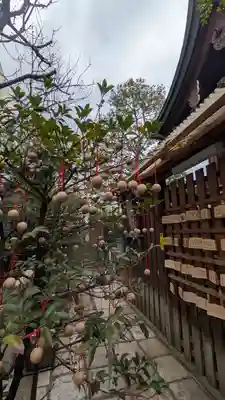 錦天満宮(京都府)