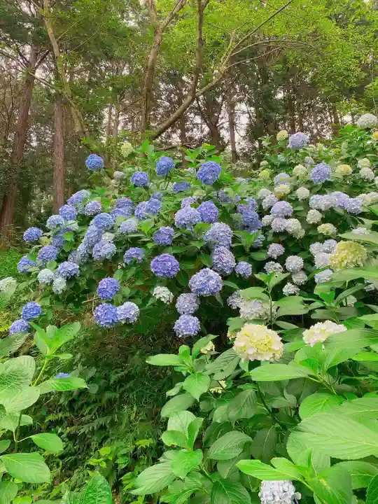 蟻通神社(和歌山県)
