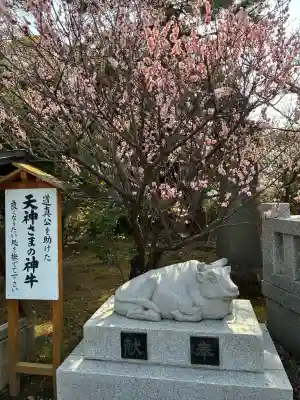 日枝天満宮の{uncategorized: "未分類", other: "その他", undefined: "問題あり", building: "その他建物", grave: "お墓", sacred_gate: "鳥居", guardian: "狛犬", statue: "像", buddha: "仏像", history: "歴史", nature: "自然", garden: "庭園", animal: "動物", pagoda: "塔", temizu: "手水舎", mountain_gate: "山門・神門", sanctuary: "本殿・本堂", subordinate: "末社・摂社", art: "芸術", scenery: "景色", jizo: "地蔵", ema: "絵馬", goshuin: "御朱印", omikuji: "おみくじ", items: "授与品その他", amulet: "お守り", goshuincho: "御朱印帳", eats: "食事", festival: "お祭り", votive_dance: "神楽", shichigosan: "七五三参", wedding: "結婚式", experience: "体験その他", initially: "初詣", around: "周辺", anti_infection: "感染症対策"}