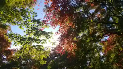 宝徳寺(群馬県)