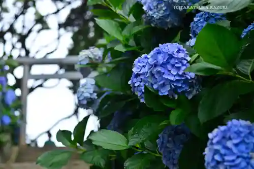 酒列磯前神社(茨城県)