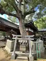 大野原八幡神社(香川県)