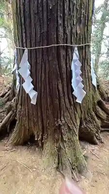 黒沼神社(福島県)