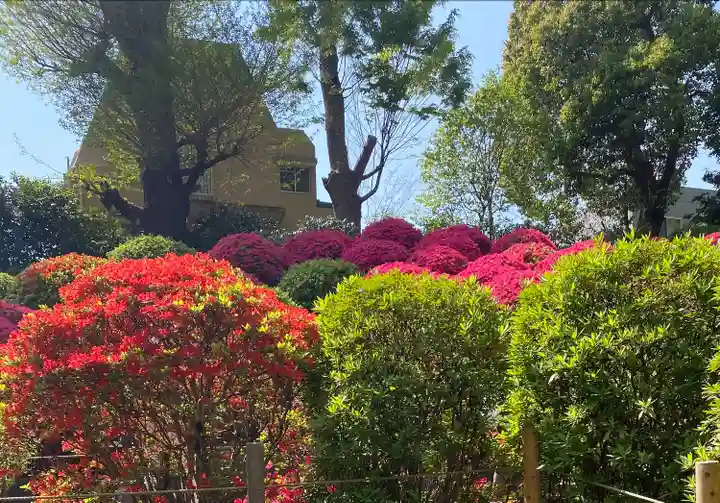 根津神社(東京都)