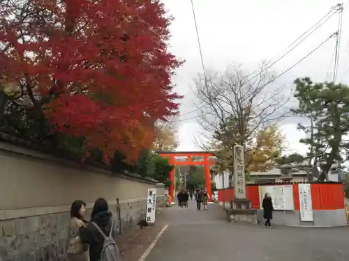 賀茂御祖神社（下鴨神社）(京都府)