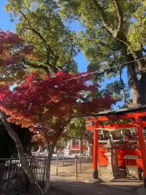 龍田神社(奈良県)