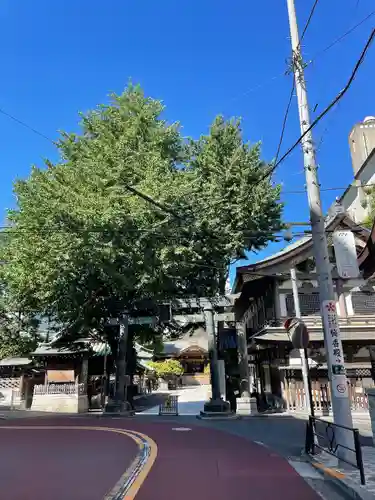 湯島天満宮の鳥居