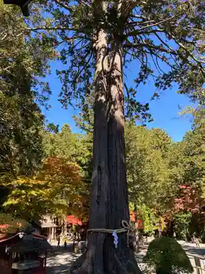 北口本宮冨士浅間神社(山梨県)