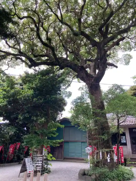 八雲神社(鎌倉・大町)(神奈川県)