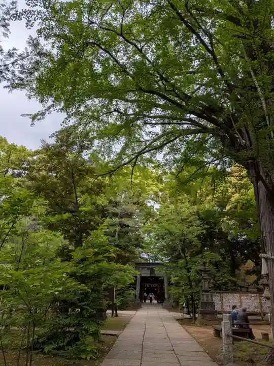 赤坂氷川神社(東京都)