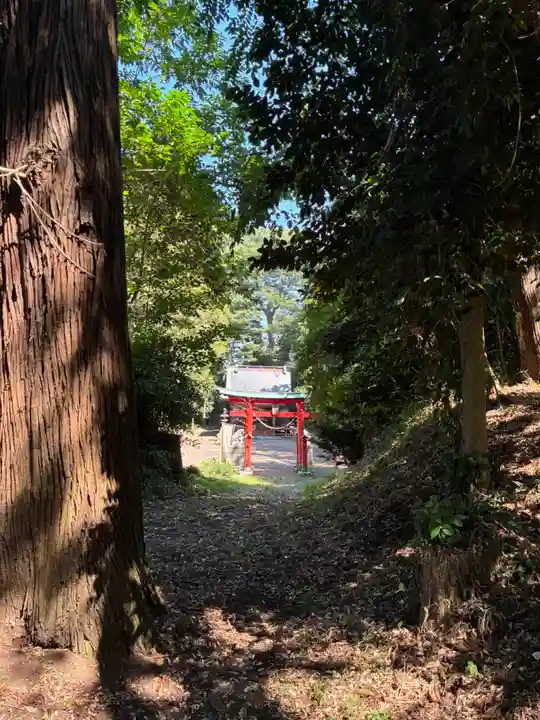 稲積神社(栃木県)
