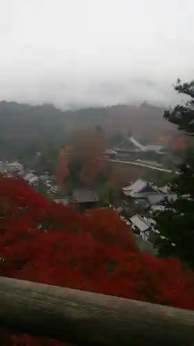 長谷寺の建物その他