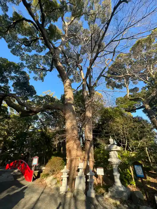 米之宮浅間神社の自然