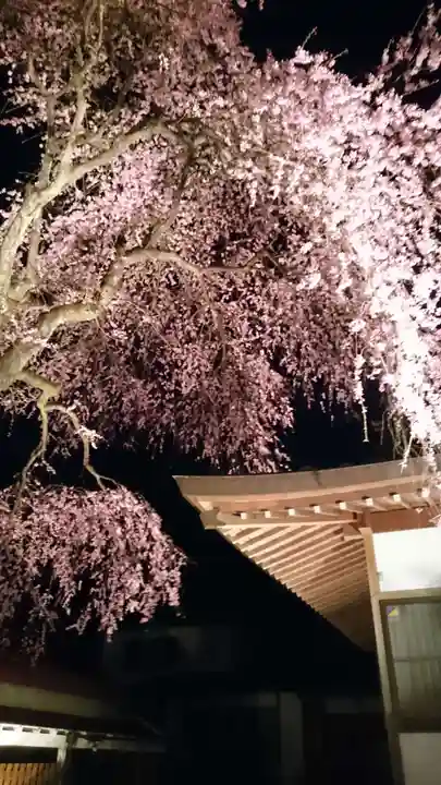 赤門の寺 法蔵寺(栃木県)