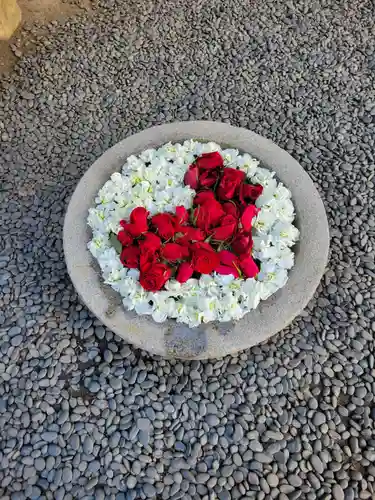 菅生神社(愛知県)