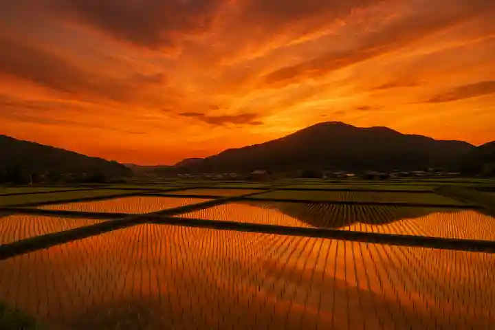 木舟山 順教寺(広島県)