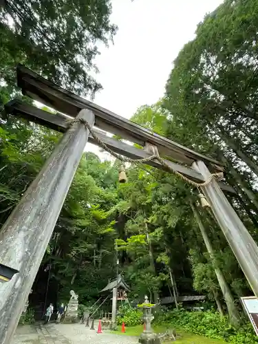 戸隠神社宝光社の鳥居