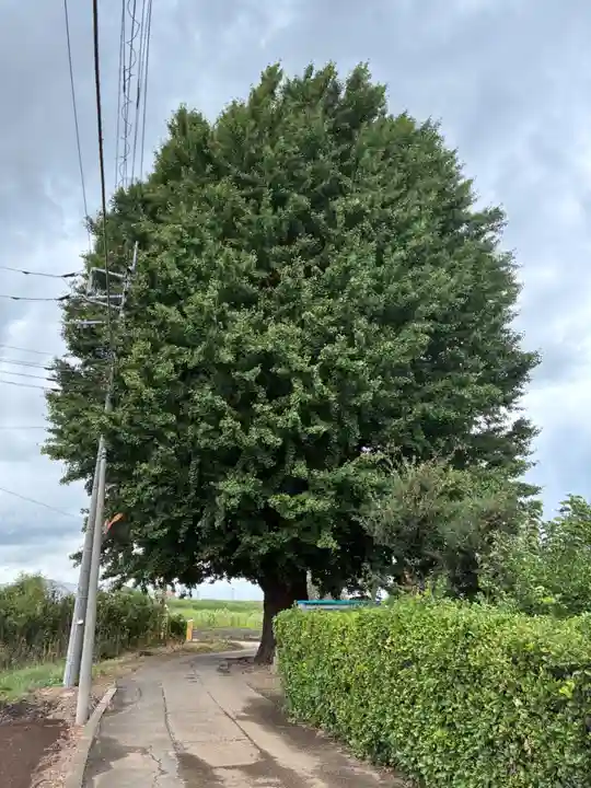 八幡神社(千葉県)
