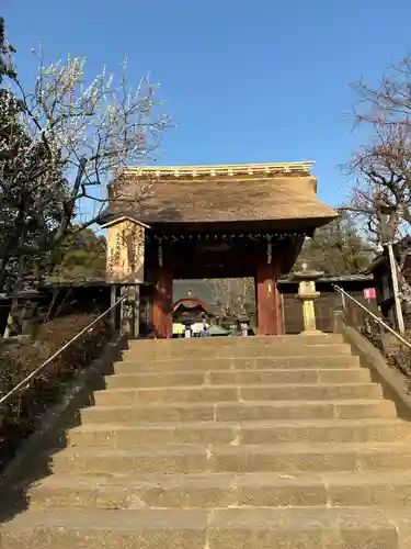 深大寺(東京都)
