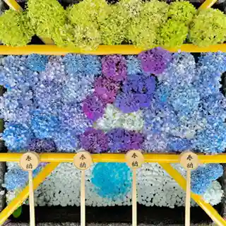 土津神社｜こどもと出世の神さま(福島県)