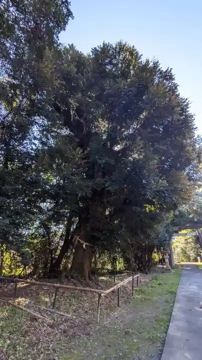 布智神社(本甲)の自然
