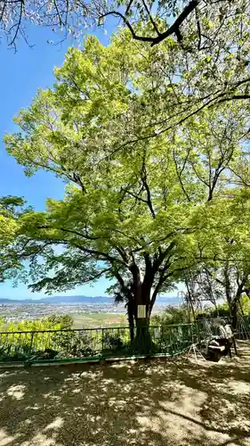 石清水八幡宮(京都府)
